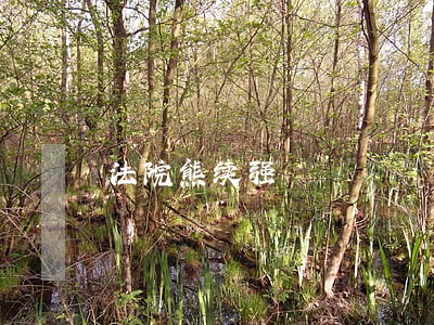 法院熊续强