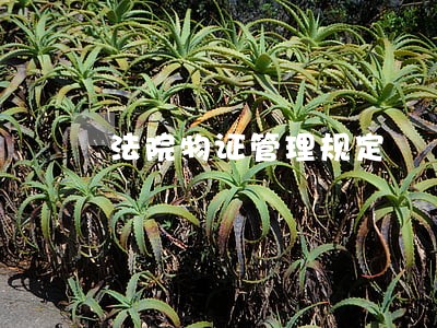 法院物证管理规定 法院物证管理规定