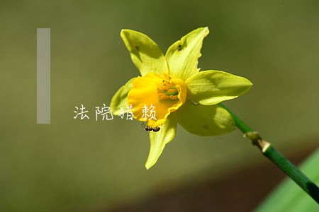 法院猎赖 法院猎赖
