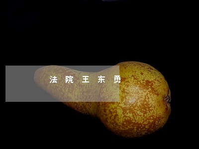 法院王东勇 法院王东勇