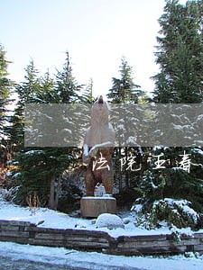 法院王春风
