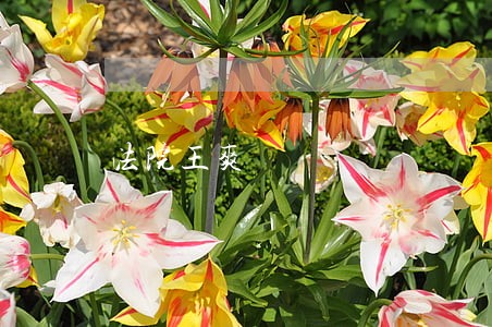 法院王爽 法院王爽