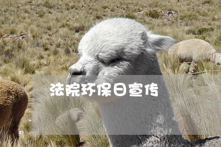 法院环保日宣传 法院环保日宣传
