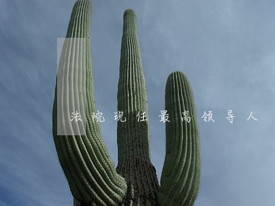 法院现任最高领导人 法院现任最高领导人