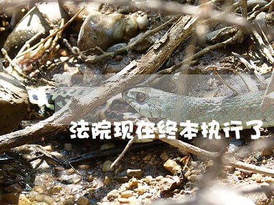 法院现在终本执行了 法院现在终本执行了