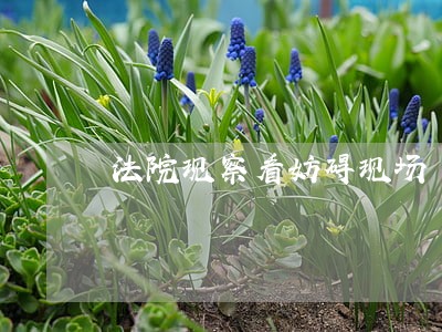 法院现察看妨碍现场