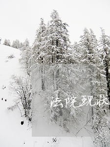 法院现状分析及未来 法院现状分析及未来