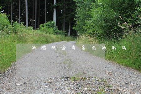 法院现金支票无法取款