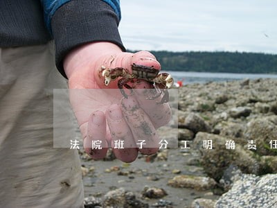 法院班子分工明确责任落实 法院班子分工明确责任落实