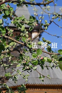 法院班子建设人员不足