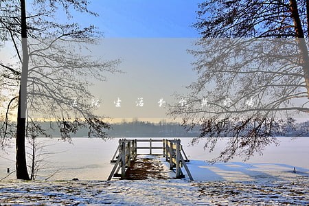 法院生活费能执行吗 法院生活费能执行吗