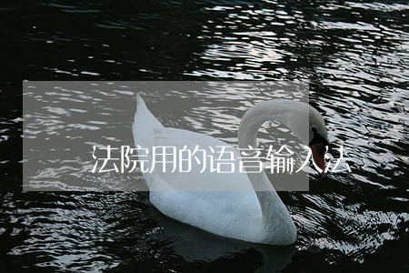 法院用的语音输入法 法院用的语音输入法