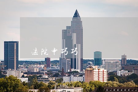 法院申巧巧 法院申巧巧