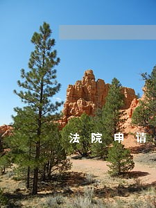 法院申请保全什么时间执行 法院申请保全什么时间执行
