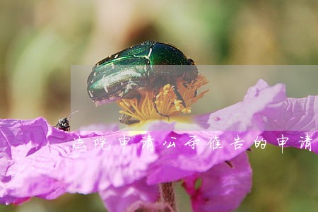 法院申请公示催告的申请书 法院申请公示催告的申请书