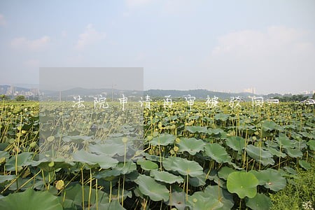法院申请再审被驳回
