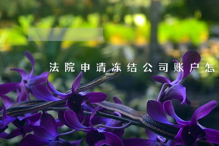 法院申请冻结公司账户怎么做