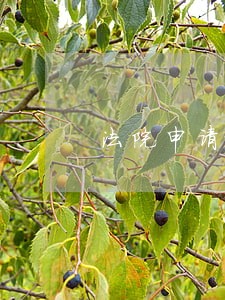 法院申请复议要交费吗 法院申请复议要交费吗