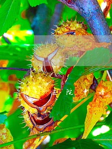 法院申请执行工资怎么写 法院申请执行工资怎么写