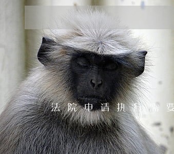 法院申请执行需要什么材料 法院申请执行需要什么材料
