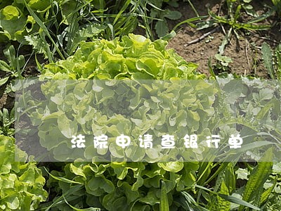 法院申请查银行单