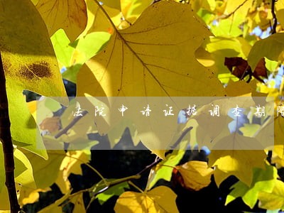 法院申请证据调查期限 法院申请证据调查期限