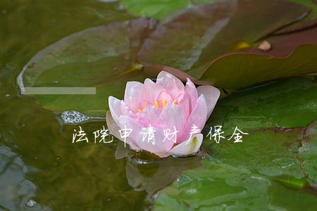 法院申请财产保全 法院申请财产保全