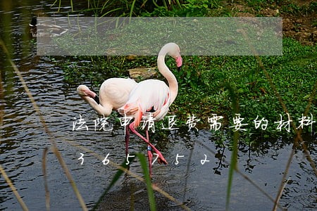 法院申请退费需要的材料/2023022365752 法院申请退费需要的材料/2023022365752