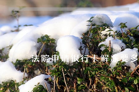 法院申请银行卡解冻要多久 法院申请银行卡解冻要多久
