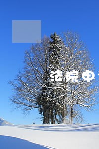 法院申请驾驶证扣押 法院申请驾驶证扣押
