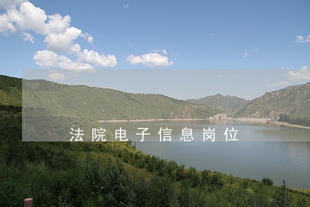 法院电子信息岗位
