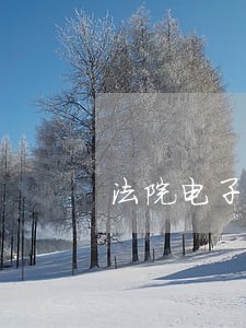 法院电子档案查阅制度 法院电子档案查阅制度