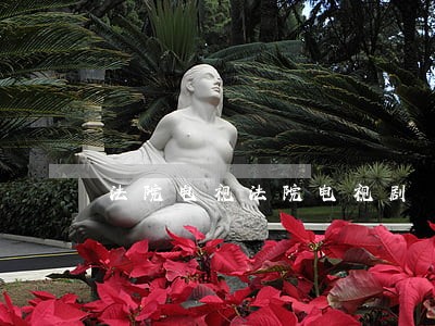法院电视法院电视剧 法院电视法院电视剧