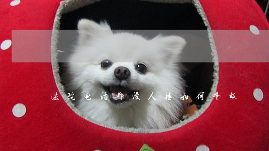 法院电话都没人接如何举报 法院电话都没人接如何举报