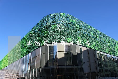 法院疫情期间服务