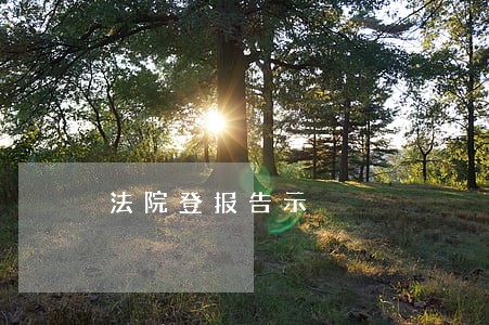 法院登报告示 法院登报告示