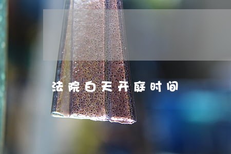 法院白天开庭时间 法院白天开庭时间