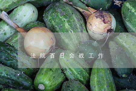 法院百日会战工作 法院百日会战工作