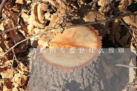 法院的专委是什么级别 法院的专委是什么级别