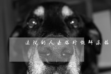 法院的人去银行能解冻银行卡吗 法院的人去银行能解冻银行卡吗
