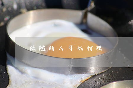 法院的人可以代理