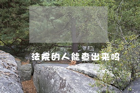 法院的人能查出来吗 法院的人能查出来吗