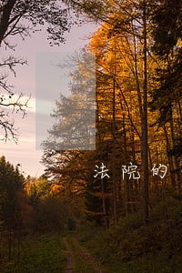 法院的传票是在押人员每人一个吗 法院的传票是在押人员每人一个吗
