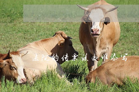法院的传票该由谁添写 法院的传票该由谁添写
