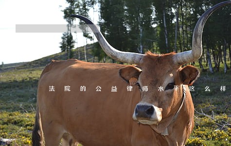 法院的公益律师水平这么样 法院的公益律师水平这么样