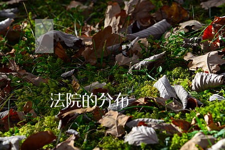 法院的分布 法院的分布