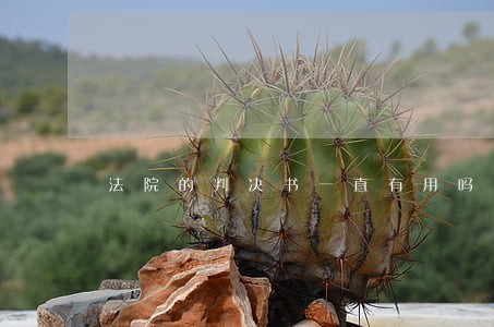法院的判决书一直有用吗 法院的判决书一直有用吗
