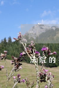 法院的判决怎样才能执行 法院的判决怎样才能执行