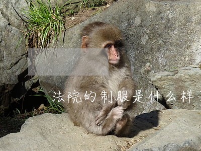 法院的制服是什么样子 法院的制服是什么样子