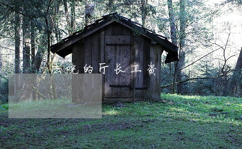 法院的厅长工资 法院的厅长工资